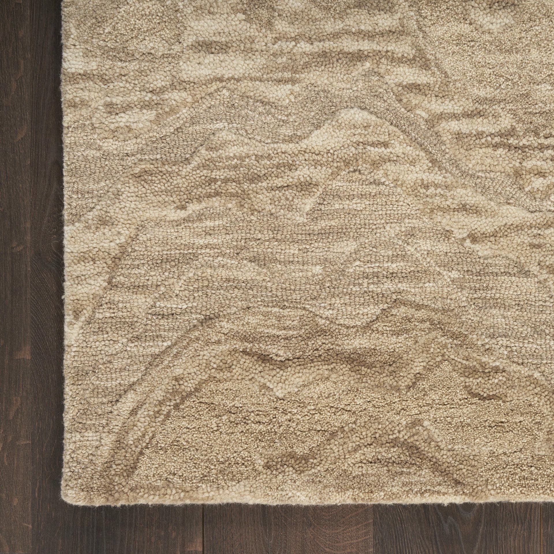 GRACEFUL - GRU01 - TAUPE rug, photo 3