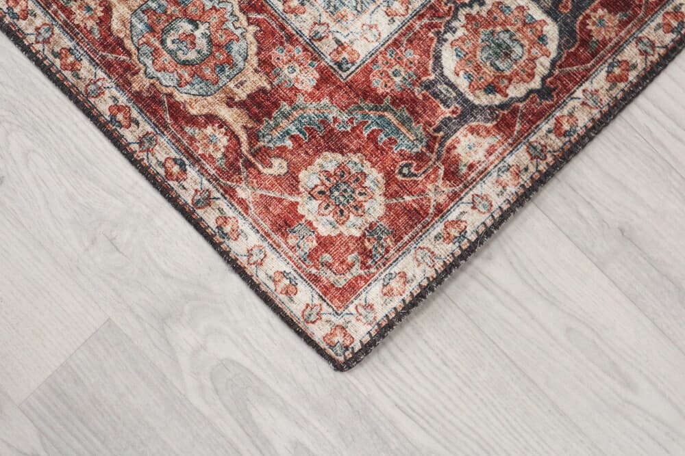 Pippur Printed Rug - Blue and Red - ZDB018708