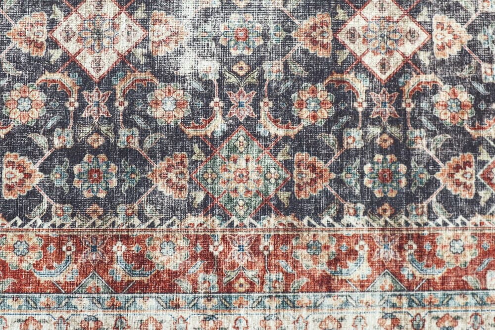 Pippur Printed Rug - Blue and Red - ZDB018708