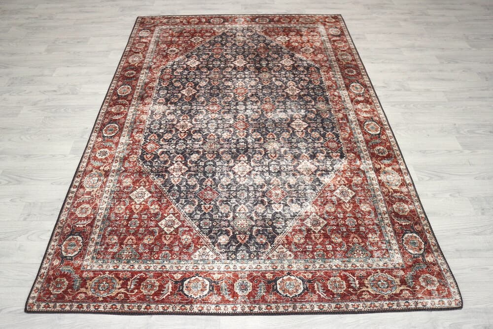 Pippur Printed Rug - Blue and Red - ZDB018708