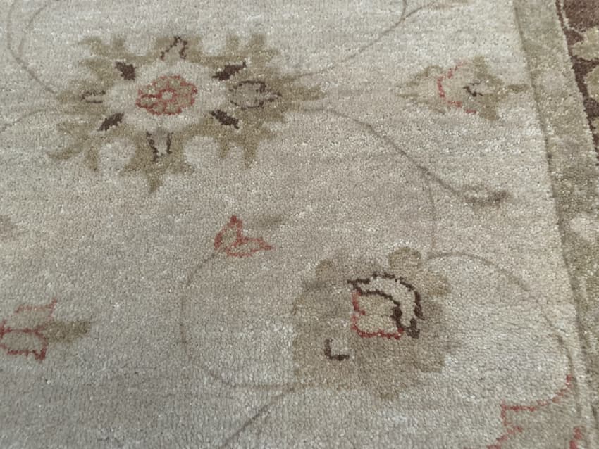 Indo Persian Rug IVE020054 244 X 152 B