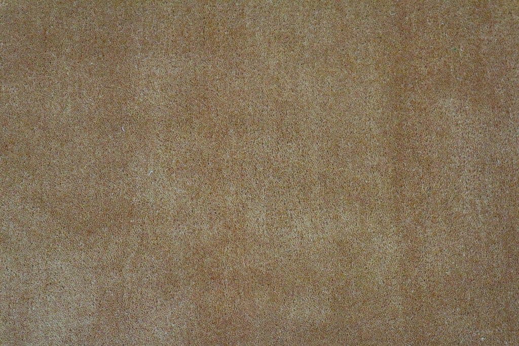 Lippa Plain Carved Rug FAU000100 E
