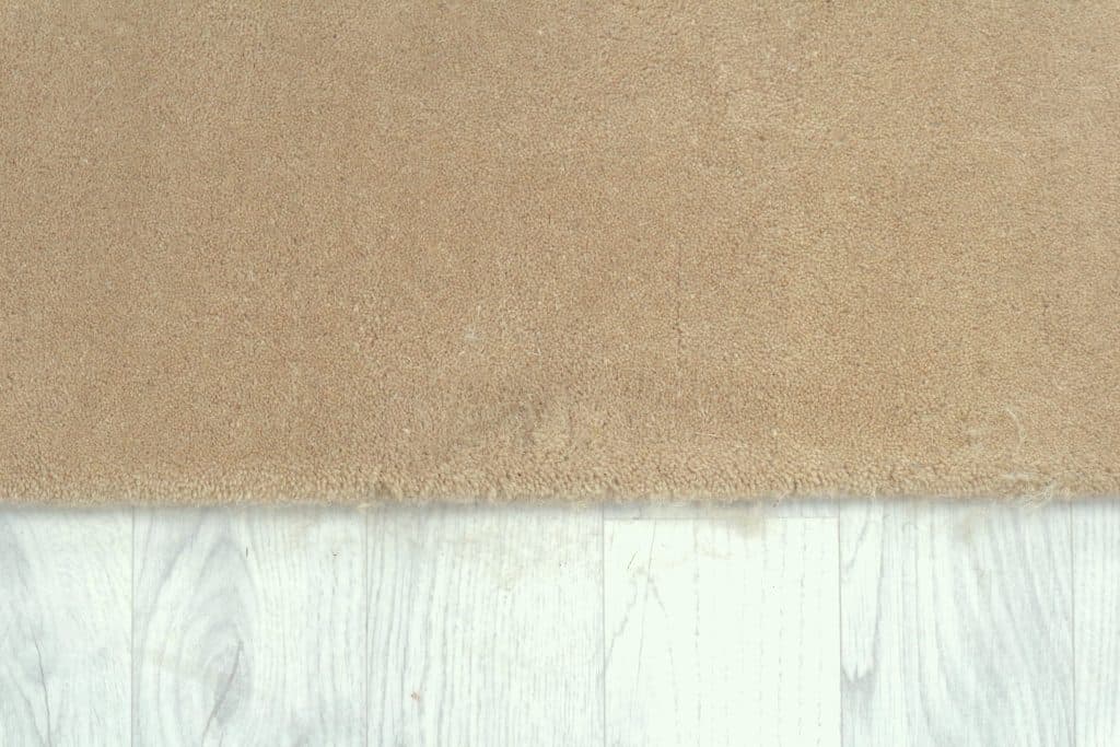 Contemporary Vibrant Rug - FAU000150 N