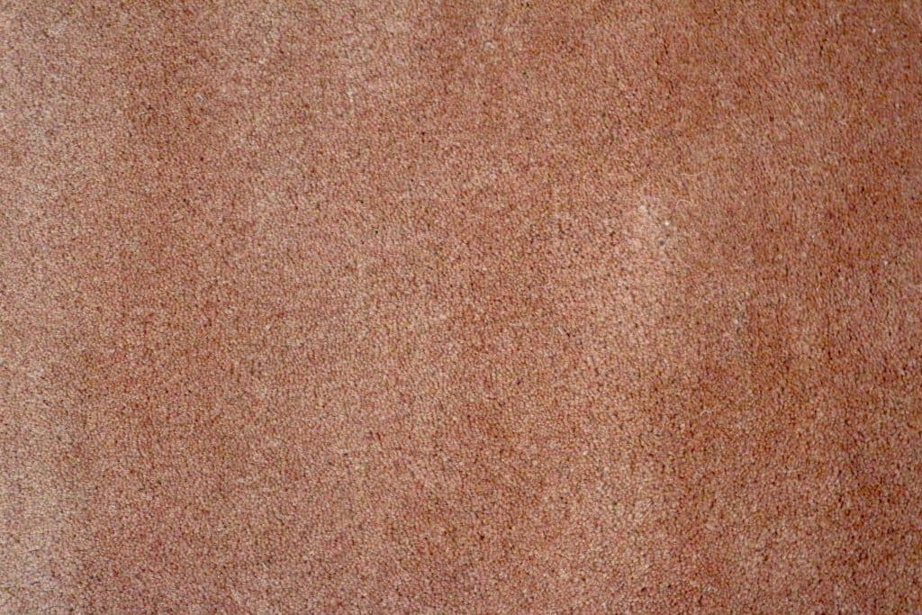 Lippa Plain Carved Rug - FAU000150 Z