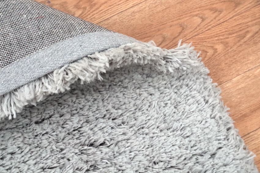 Polyester Shaggy Rug ZLP018CHE