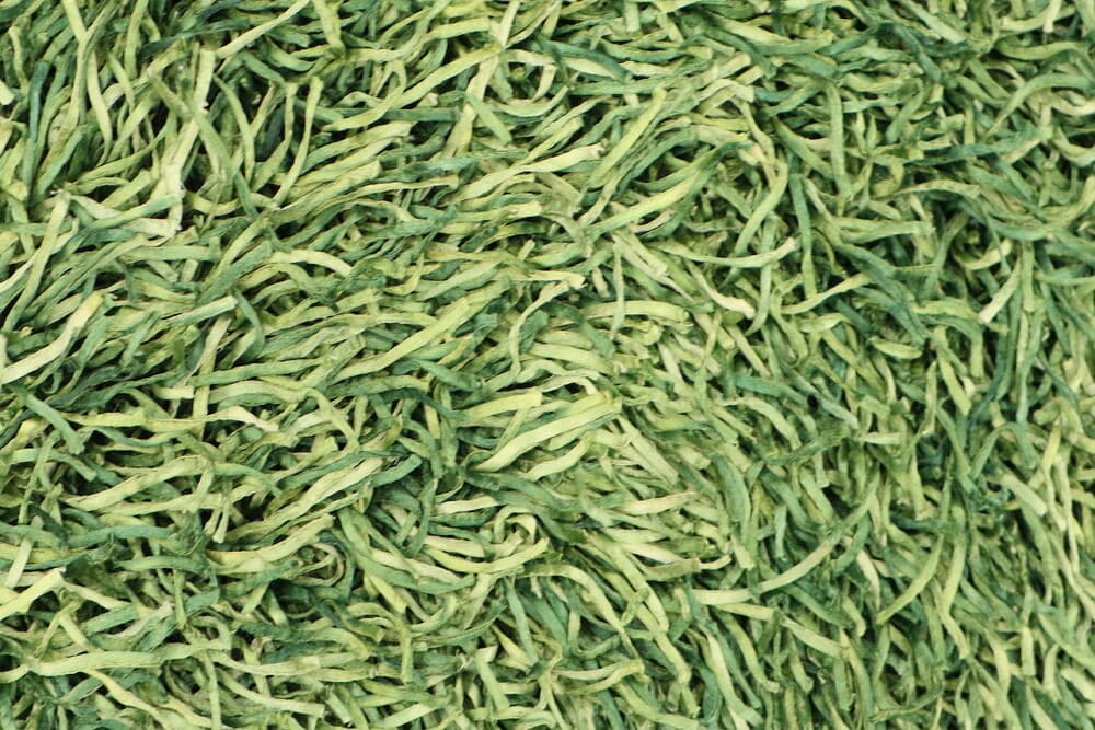 Tagliatelle Shaggy Rug ILS020T42