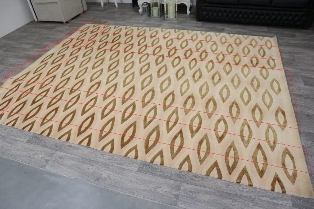 Modern Tibetan Rug Fine Line CTN025S13 L 302 x 234