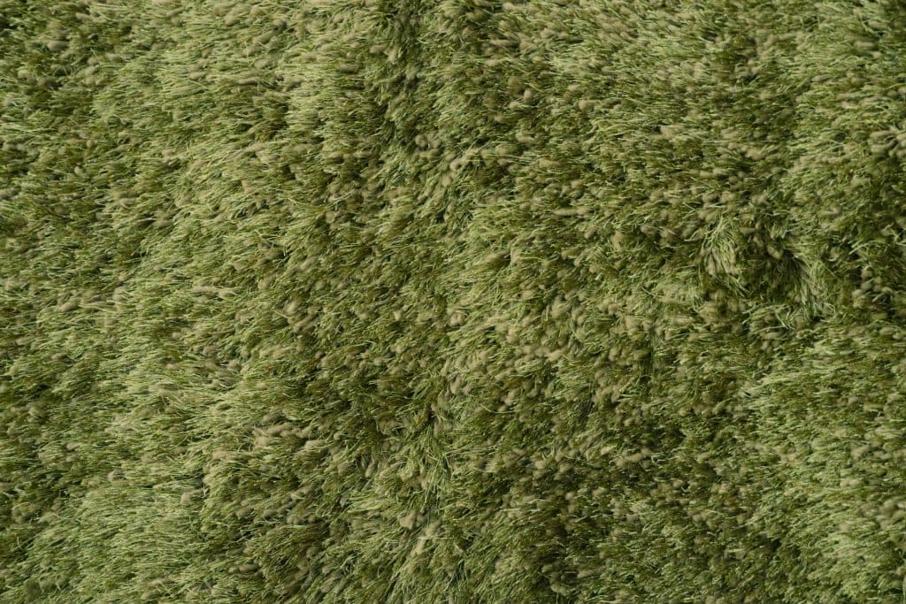 Polyester Shaggy Rug Green D Cls013C06 150cm x 80cm