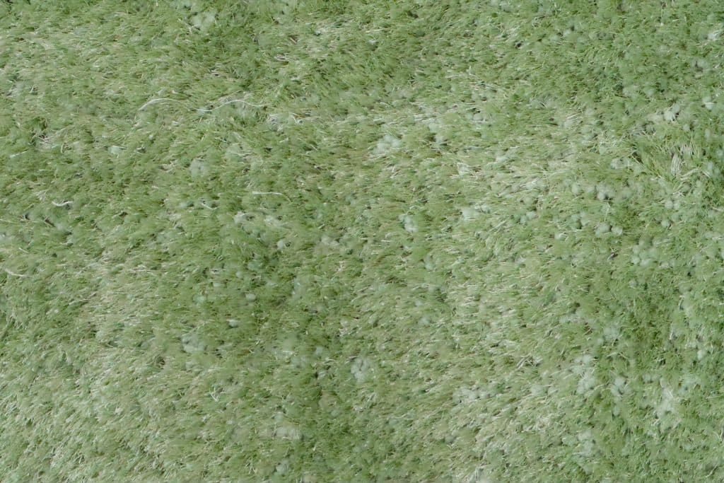 Polyester Shaggy Rug Green D Cls018706 170cm x 120cm