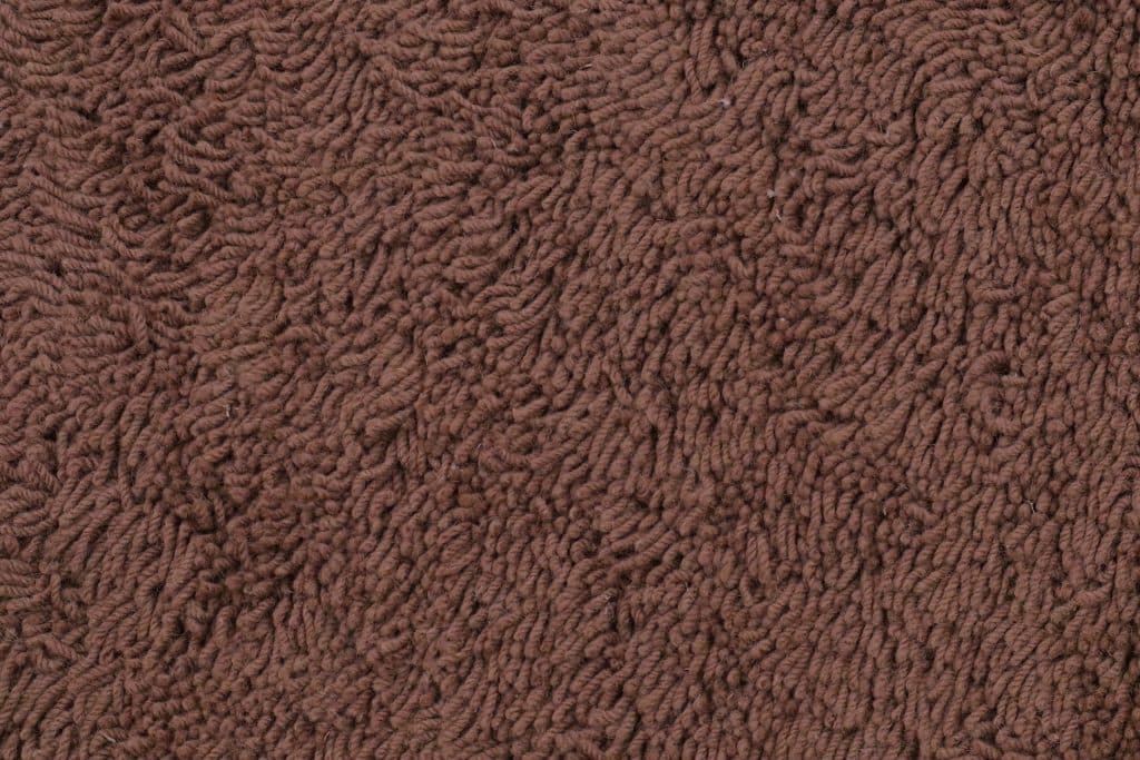 Assorted Shaggy Rug Ilp023Che 300cm x 200cm