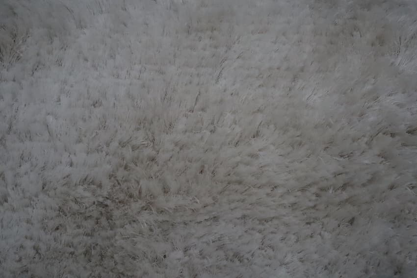 Shaggy Rug ILS018000 183 x 122 B
