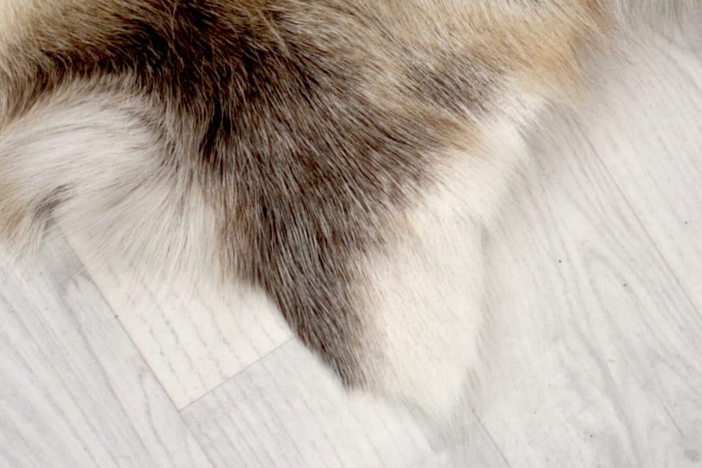 Reindeer Hide JSK030GRY C