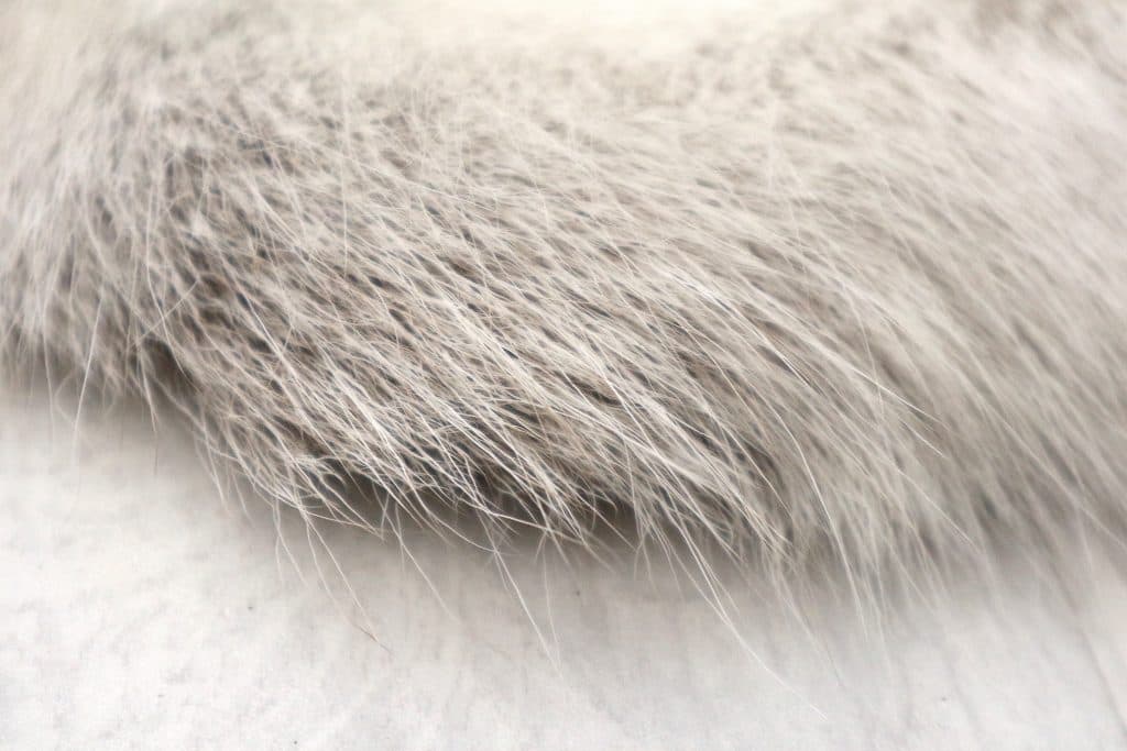Reindeer Hide JSK030GRY C