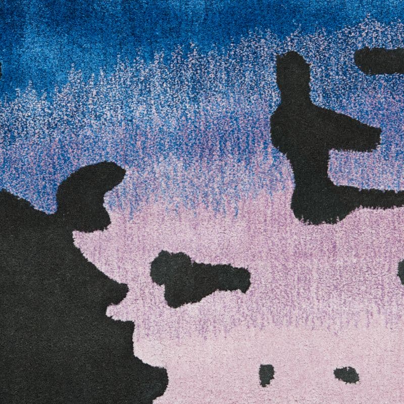 PRISMATIC - PRS23 - BLACK MULTICOLOUR rug, photo 6