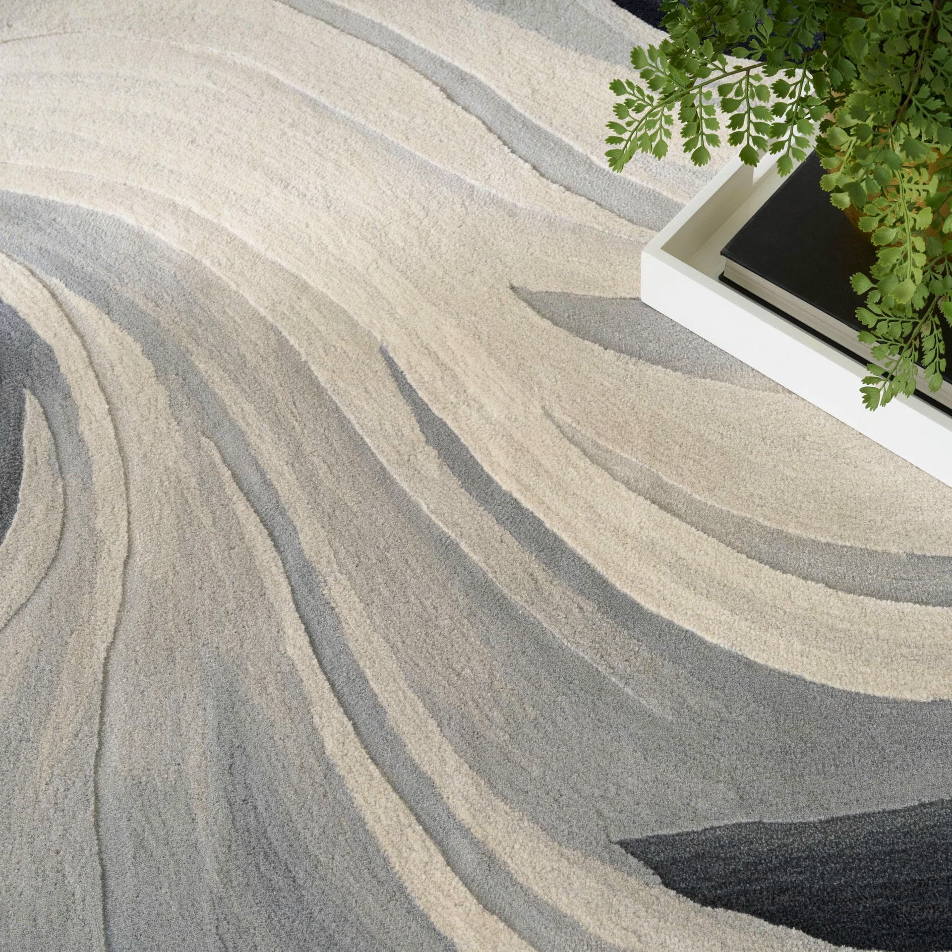 PRISMATIC - PRS41 - Ivory Black rug, photo 8