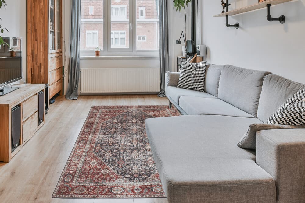 Pippur Printed Rug - Blue and Red - ZDB018708