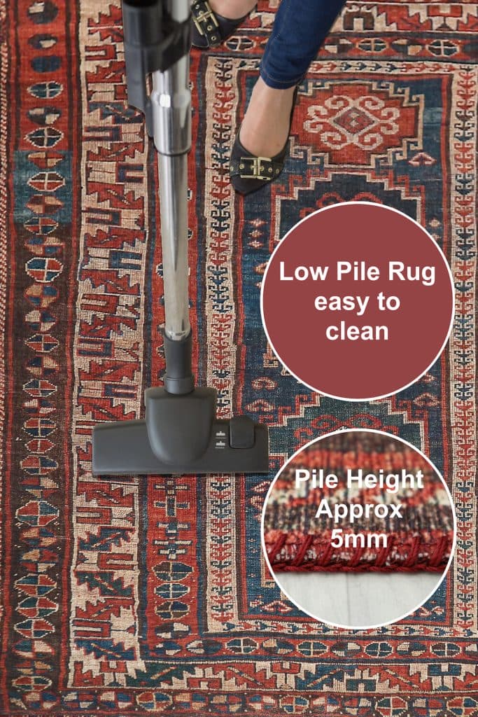 Pippur Printed Rug - Red - ZDB018703