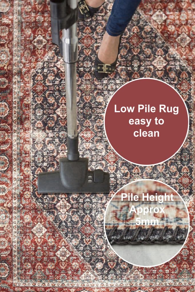 Pippur Printed Rug - Blue and Red - ZDB018708